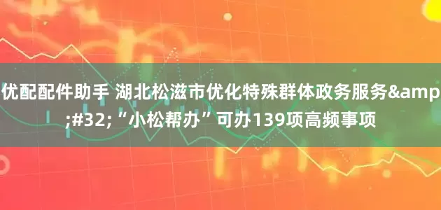 优配配件助手 湖北松滋市优化特殊群体政务服务&#32;“小松帮办”可办139项高频事项