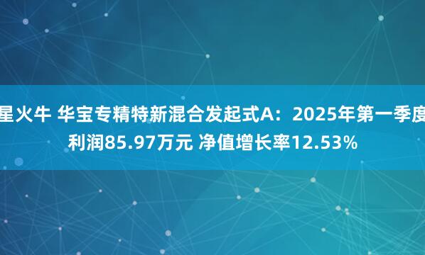 星火牛 华宝专精特新混合发起式A：2025年第一季度利润85.97万元 净值增长率12.53%