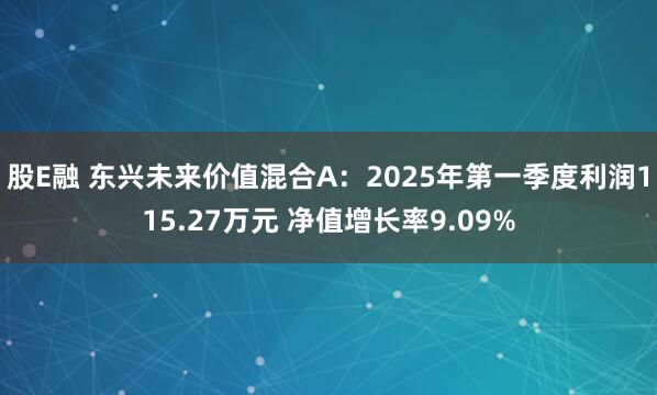 股E融 东兴未来价值混合A：2025年第一季度利润115.27万元 净值增长率9.09%