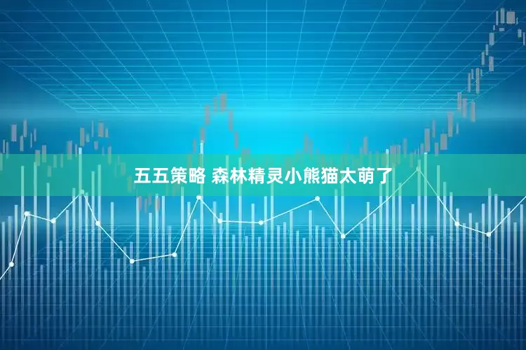 五五策略 森林精灵小熊猫太萌了